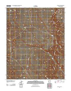 Mixon Tank 2011 topographic map thumbnail
