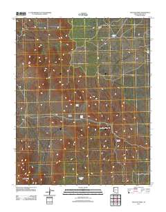 Mustang Point 2011 topographic map thumbnail
