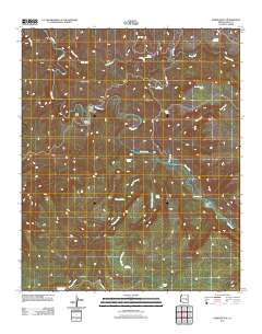 Forks Butte 2011 topographic map thumbnail