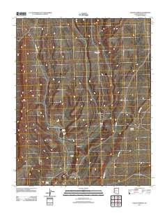 Pakoon Springs 2011 topographic map thumbnail