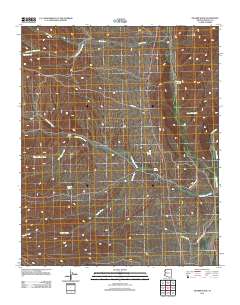 Pilgrim Wash 2011 topographic map thumbnail