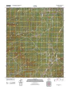 Pine Springs 2011 topographic map thumbnail