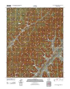 Toh Ne Zhonnie Spring 2011 topographic map thumbnail