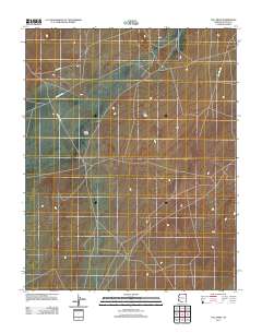 Tall Mesa 2011 topographic map thumbnail