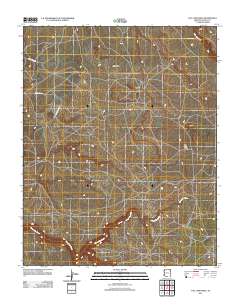 Tall Tree Mesa 2011 topographic map thumbnail