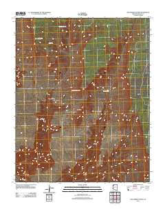 Tincanebitts Point 2011 topographic map thumbnail