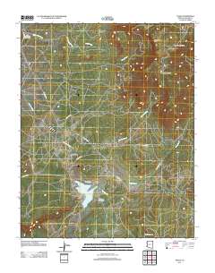 Tsaile 2011 topographic map thumbnail