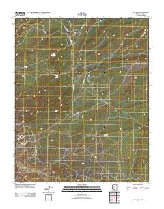 Wide Ruins 2011 topographic map thumbnail