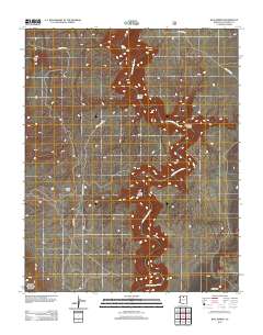 Blue Spring 2012 topographic map thumbnail