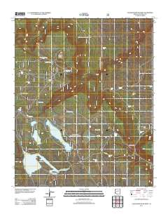 Chavez Mountain West 2011 topographic map thumbnail