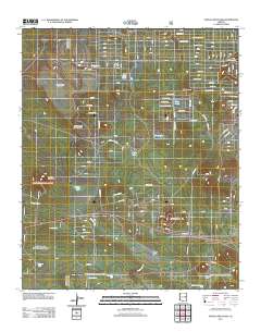 Ortega Mountain 2011 topographic map thumbnail