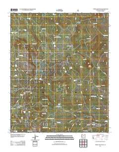 Turkey Mountain 2011 topographic map thumbnail