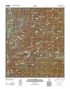 Bee Canyon 2011 topographic map thumbnail