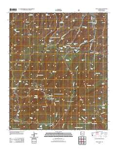 Pinal Peak 2011 topographic map thumbnail