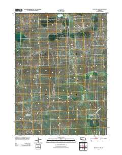 Bucktail Lake 2011 topographic map thumbnail