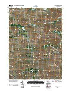 Curry Lake 2011 topographic map thumbnail