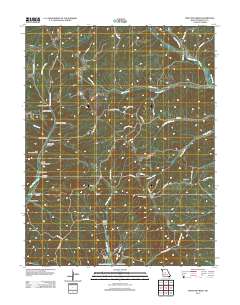 Proctor Creek 2011 topographic map thumbnail