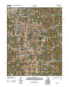 Licking 2011 topographic map thumbnail