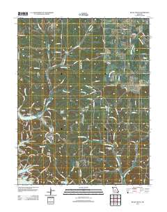 Rocky Mount 2011 topographic map thumbnail