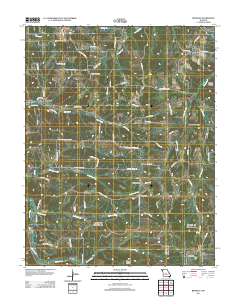 Brumley 2011 topographic map thumbnail