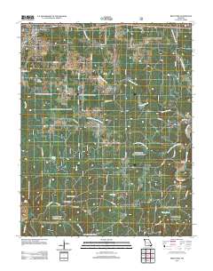 Birch Tree 2012 topographic map thumbnail
