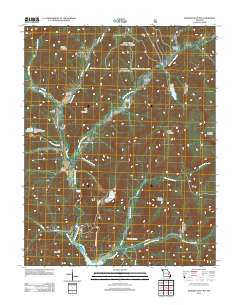 Johnson Shut-Ins 2011 topographic map thumbnail