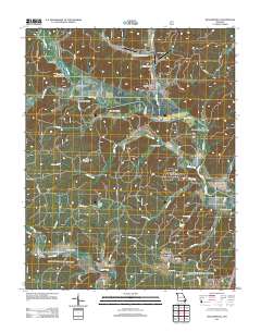 Williamsville 2011 topographic map thumbnail