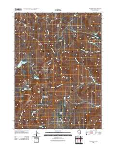 Duffer Peak 2011 topographic map thumbnail