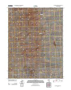 Bluewing Spring 2011 topographic map thumbnail