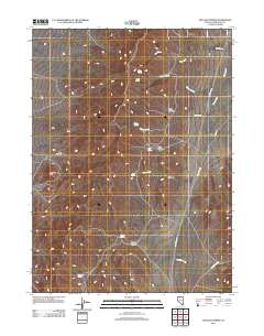 Delvada Spring 2011 topographic map thumbnail