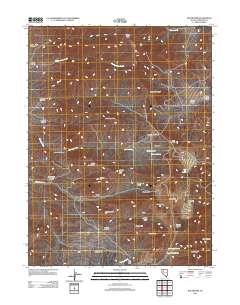 Rochester 2011 topographic map thumbnail