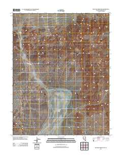 Rhyolite Ridge NW 2011 topographic map thumbnail