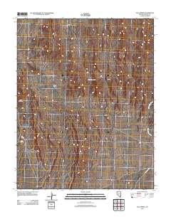 Tule Spring 2012 topographic map thumbnail