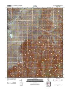 Rhyolite Ridge SW 2011 topographic map thumbnail