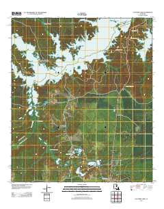 Cocodrie Lake 2012 topographic map thumbnail