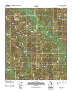 Cotton Plant 2012 topographic map thumbnail