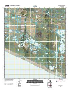 Cow Island 2012 topographic map thumbnail