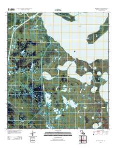 Fearman Lake 2012 topographic map thumbnail