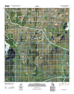 Forked Island 2012 topographic map thumbnail