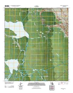 Grassy Lake 2012 topographic map thumbnail