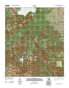 Bayou Pierre Lake 2012 topographic map thumbnail