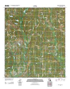 Bluff Creek 2012 topographic map thumbnail