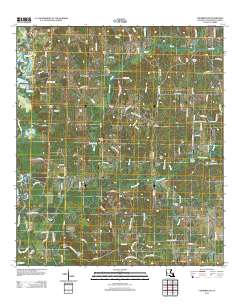 Chesbrough 2012 topographic map thumbnail