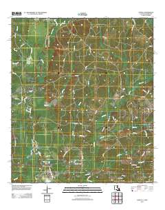 Chipola 2012 topographic map thumbnail