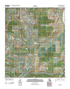 Lake Bruin 2012 topographic map thumbnail