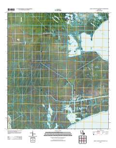 Lake Cataouatche West 2012 topographic map thumbnail