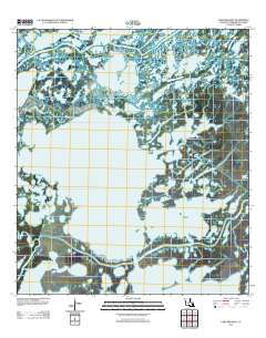 Lake Mechant 2012 topographic map thumbnail