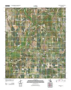 Liddieville 2012 topographic map thumbnail