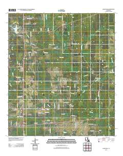 Longville 2012 topographic map thumbnail