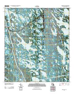Mink Bayou 2012 topographic map thumbnail